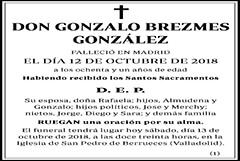 Gonzalo Brezmes González